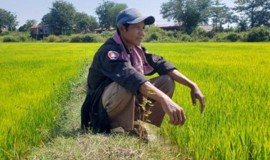 'Tidak cukup air': Petani Kamboja menghadapi perubahan iklim